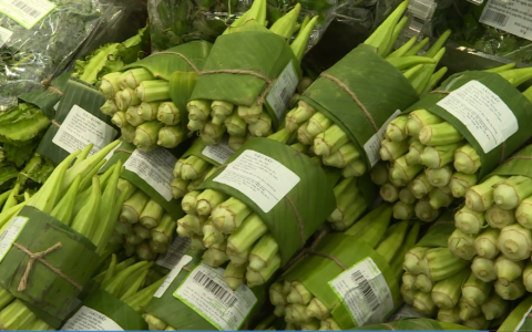 Giảm thiểu chất thải nhựa 