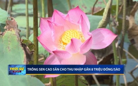 Thời sự thứ s&aacute;u 16-8-2019