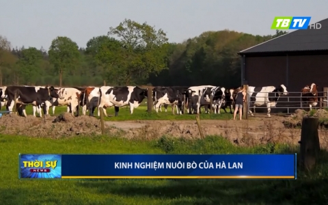 Thời sự thứ hai 26-8-2019