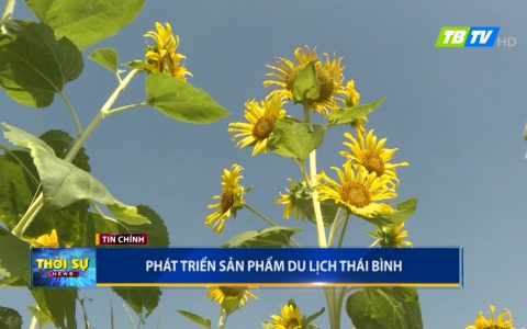 Thời sự thứ năm 3-10-2019