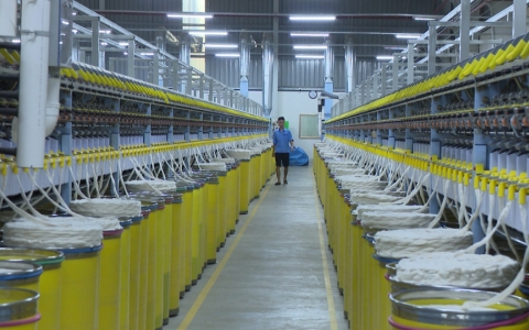 Thời sự thứ năm 24-10-2019