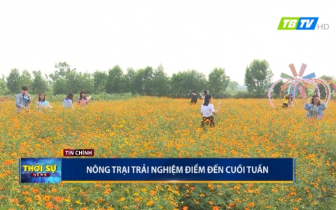Thời sự chủ nhật  10-11-2019