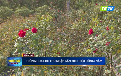 Thời sự thứ bảy 23-11-2019