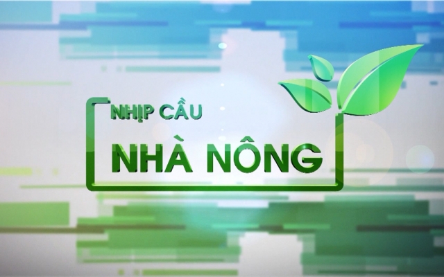 Diệt chuột ph&aacute; hoại m&ugrave;a m&agrave;ng