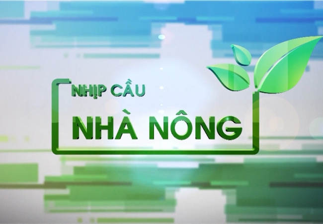 Diệt chuột ph&aacute; hoại m&ugrave;a m&agrave;ng