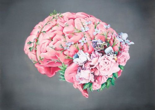 Lòng nhân ái là liều thuốc nhiệm màu cho não bộ long nhan ai, Long nhan ai la lieu thuoc nhiem mau cho nao bo