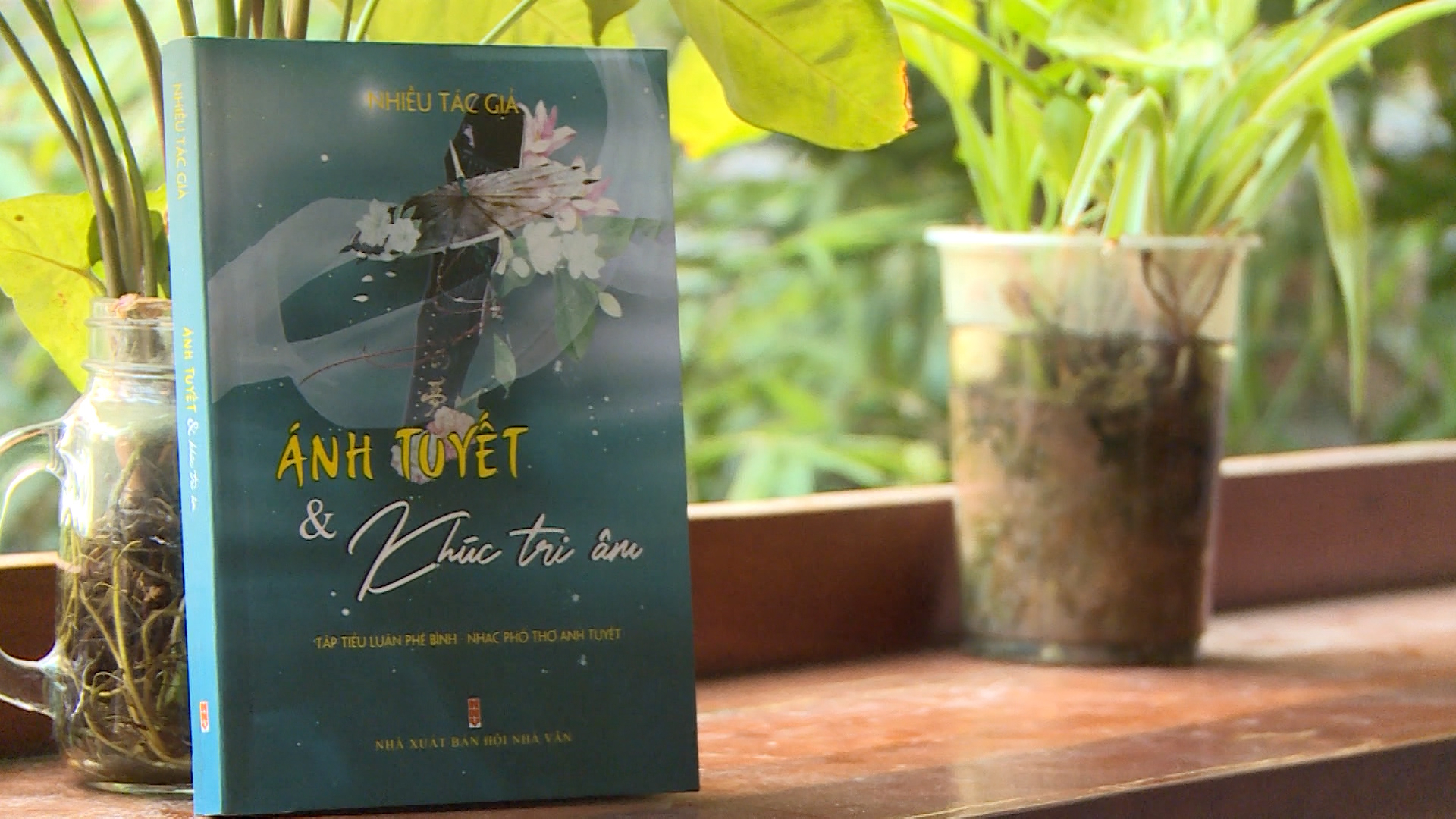 http://thaibinhtv.vn/upload/news/1_2021/tho_2_16452127012021.jpg